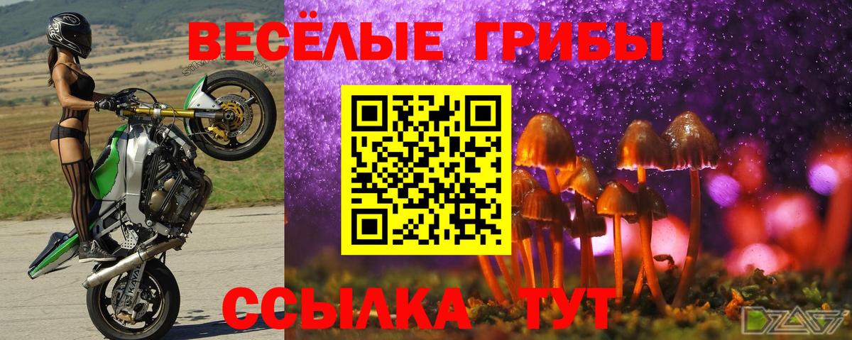 Псилоцибиновые грибы мухоморы Реутов